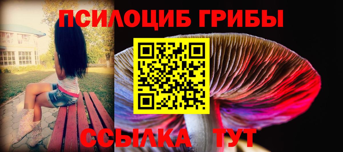 Рузаевка  Псилоцибиновые грибы GOLDEN TEACHER  Вход с VPN 